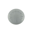 N017I (3)